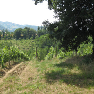 ColleStefano